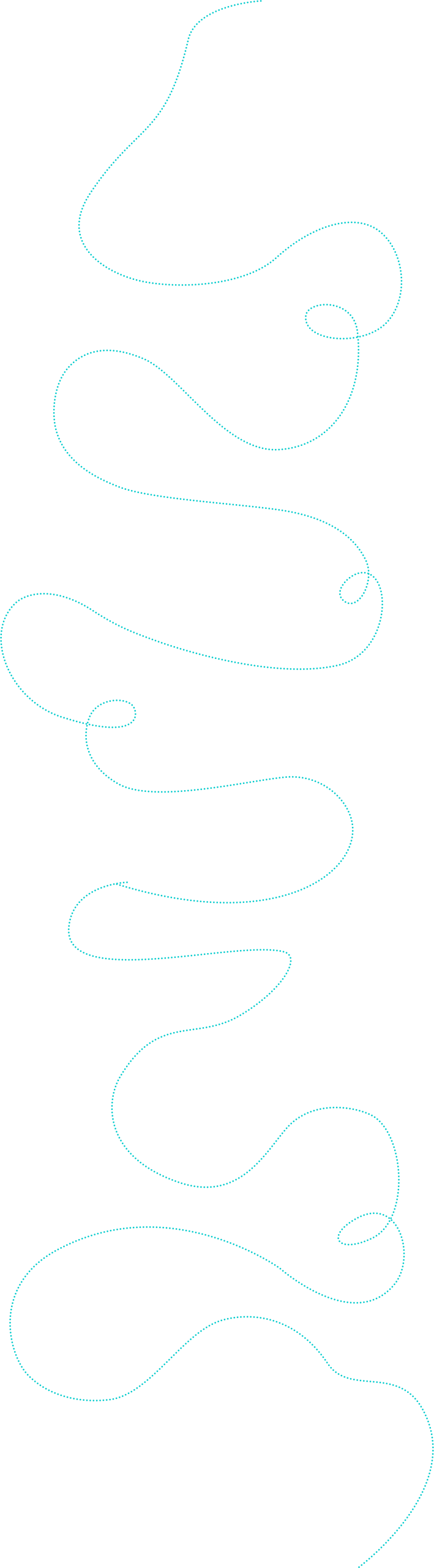 Dotted line
